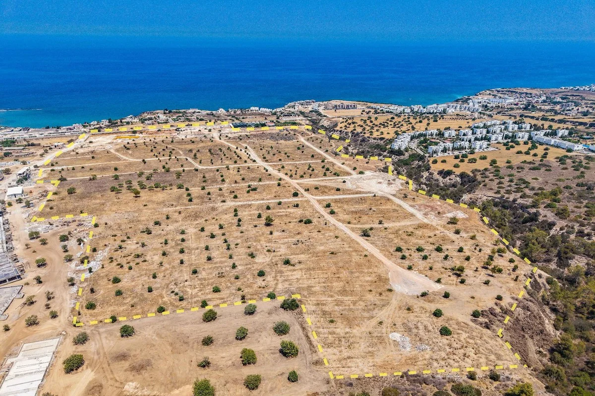 evergreen-74-construction-71